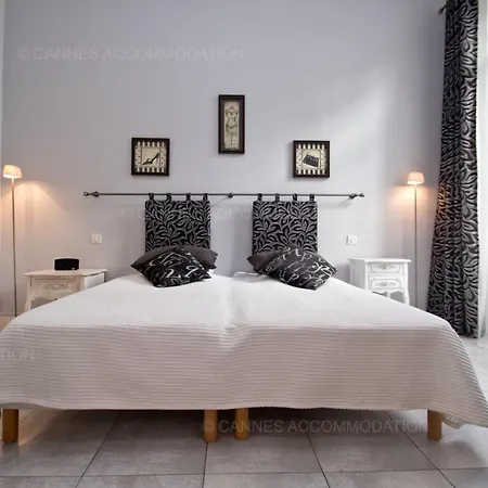 Colombe *
