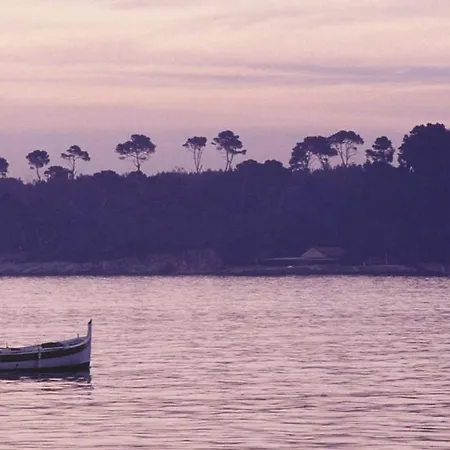 Colombe * Cannes