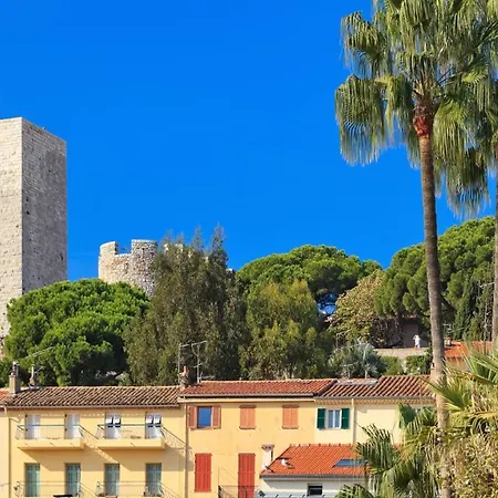 Colombe Cannes